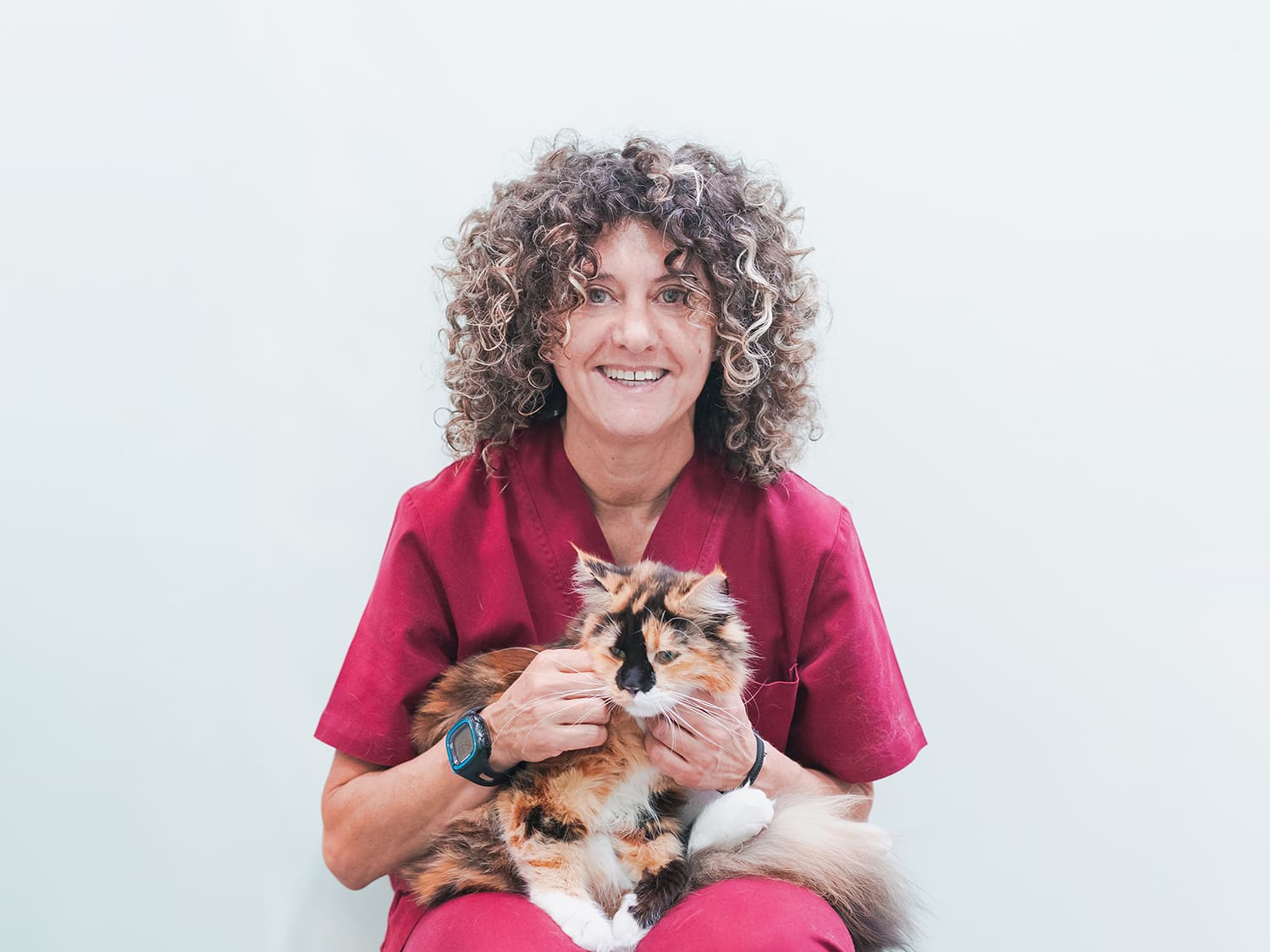 ATV Eva con gato en Hospital Veterinario Riera Alta Barcelona