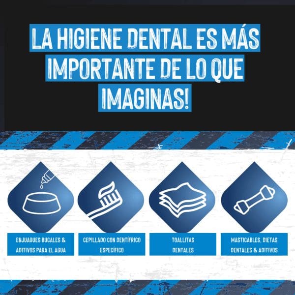 Limpieza dental en perros y gatos