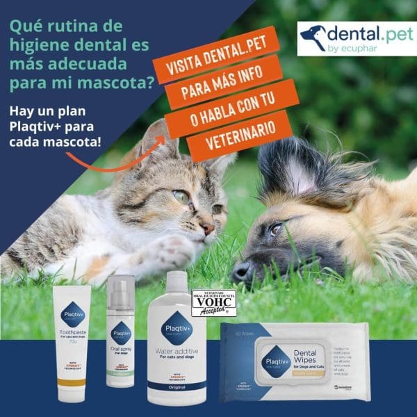 Productos limpieza dental para perros y gatos